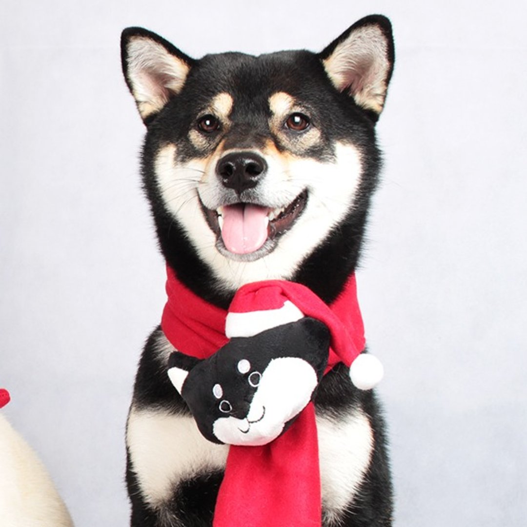 SHIBAINC SHIBE 圣诞 围巾 - 玩偶/公仔 - 其他材质 