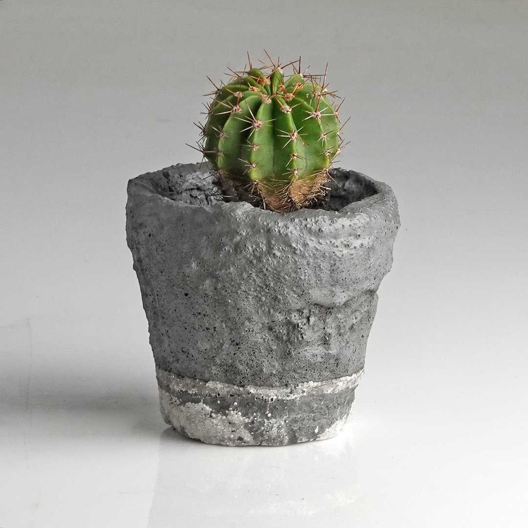 水泥盆器 - 植栽/盆栽 - 水泥 