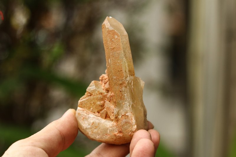 【净化系列】天然黄水晶簇 赠铜座 带红土 形可爱 招财 请读描述 - 摆饰 - 宝石 黄色