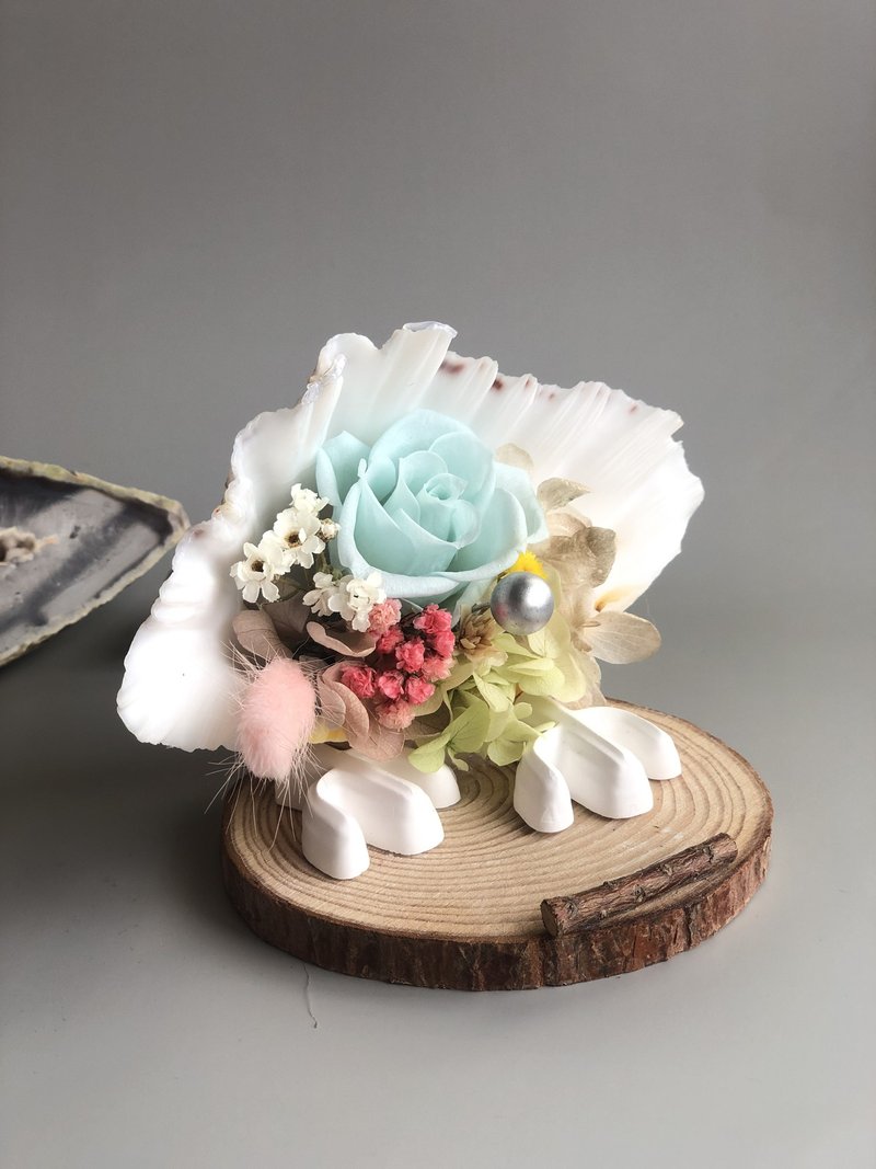 纋朵菈 创意 贝壳 永生花 手机架 现货 - 摆饰 - 植物．花 