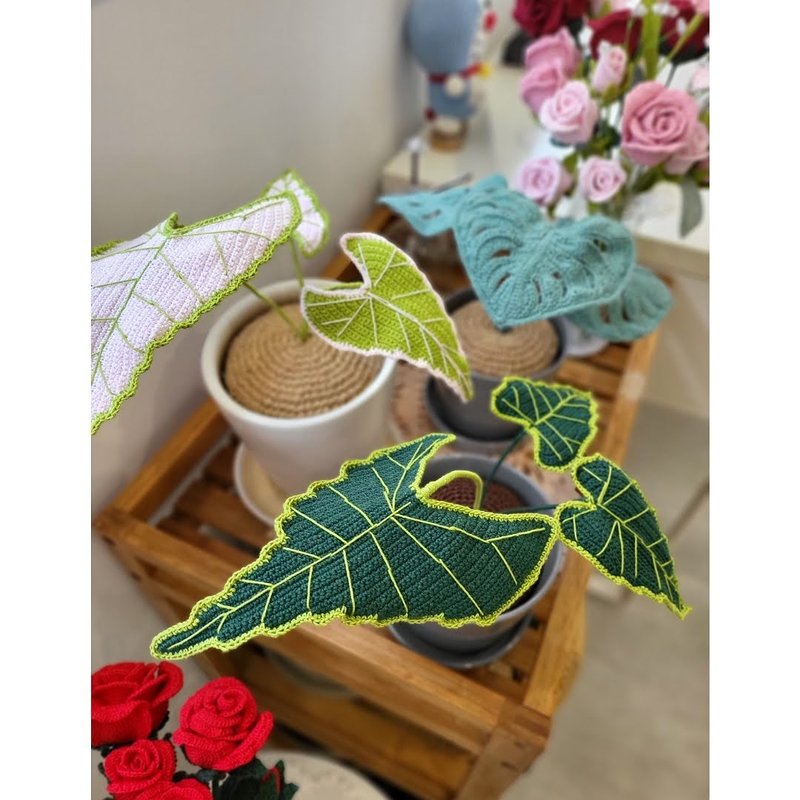 手工绿天鹅海芋 (Alocasia Frydek) 알로카시아 - 植栽/盆栽 - 纸 