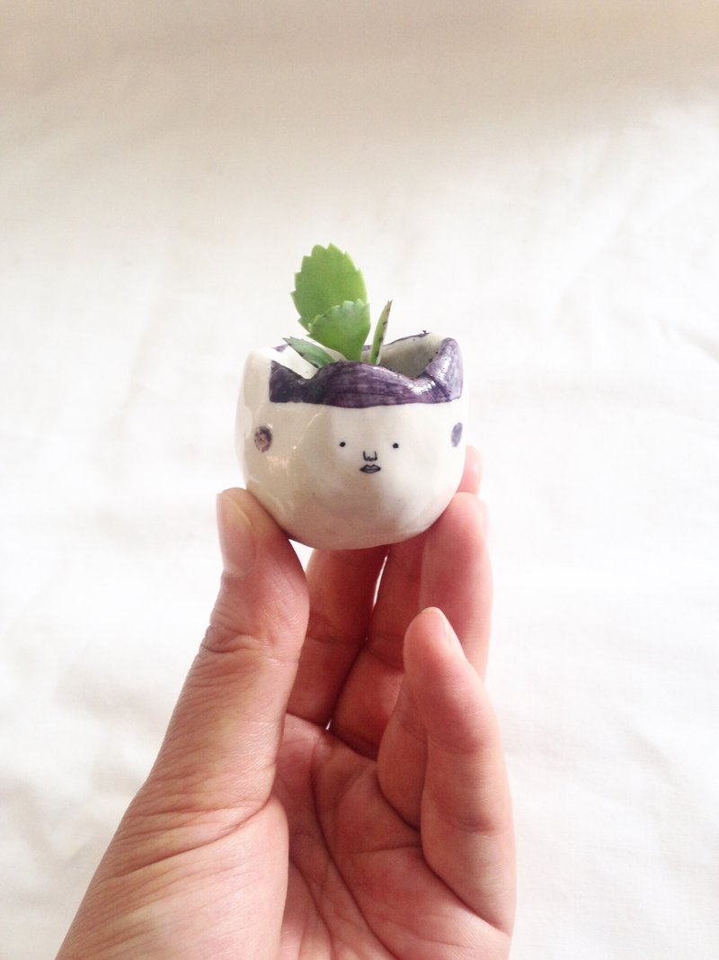 紫色迷你盆栽--多肉  办公桌植栽 - 植栽/盆栽 - 陶 紫色