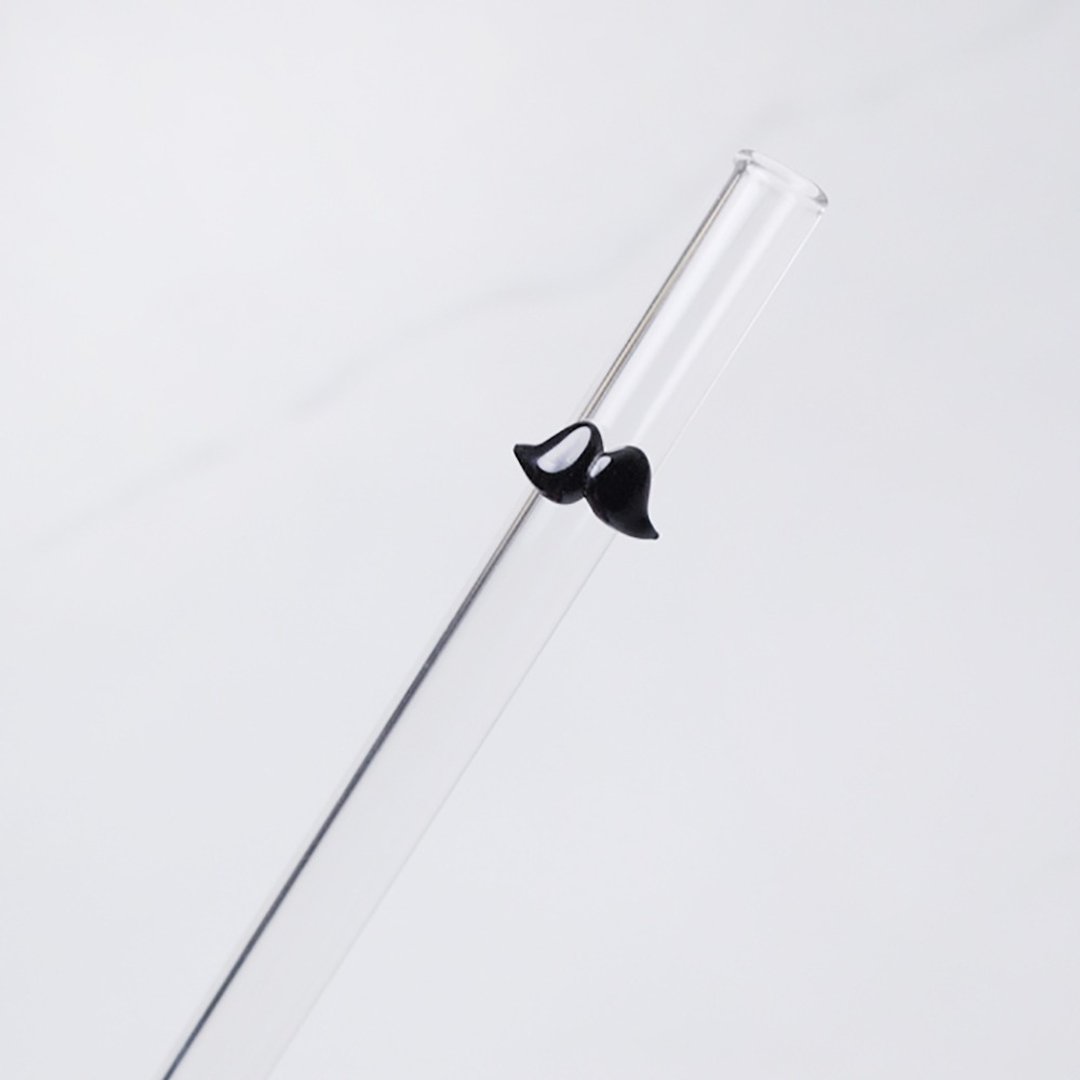 20cm (口径1cm) 尖头可刺穿饮料封膜 胡子冰沙吸管(附赠清洁刷) - 随行杯提袋/水壶袋 - 玻璃 黑色