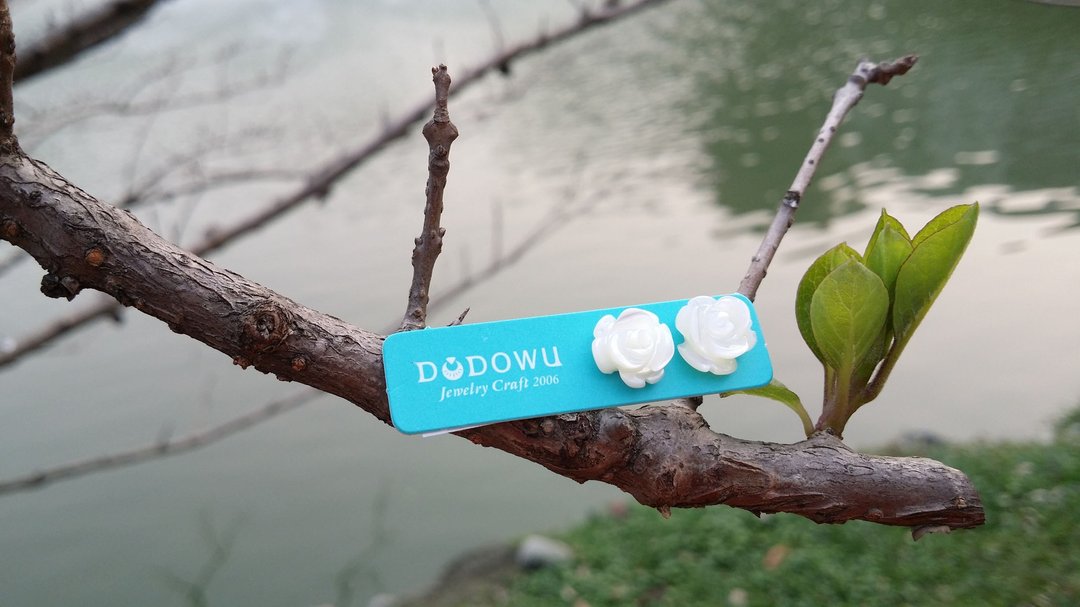 《DODOWU手作轻珠宝》~【※小女人的浪漫※手工精雕蝶贝●耳环】可以改夹式/316L钢抗过敏 - 耳环/耳夹 - 宝石 白色