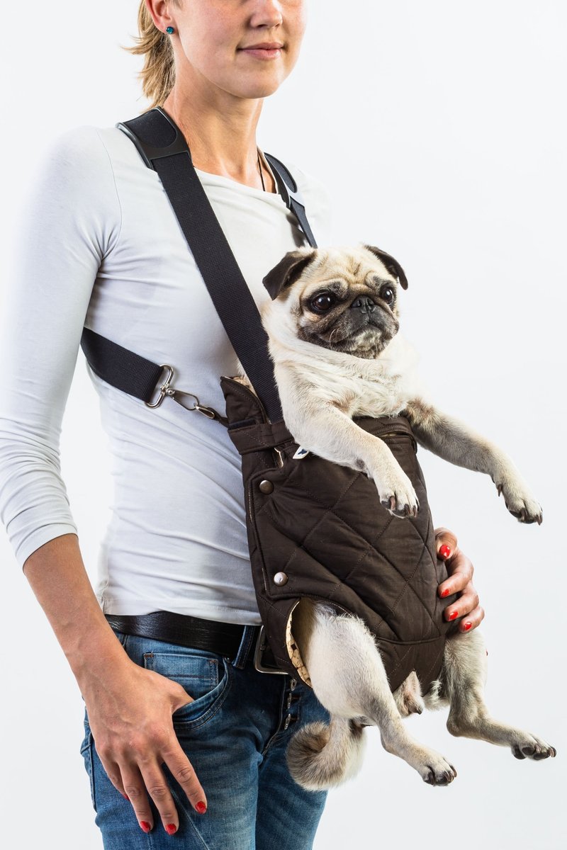 Dog front carrier NAVAJO - 其他 - 棉 