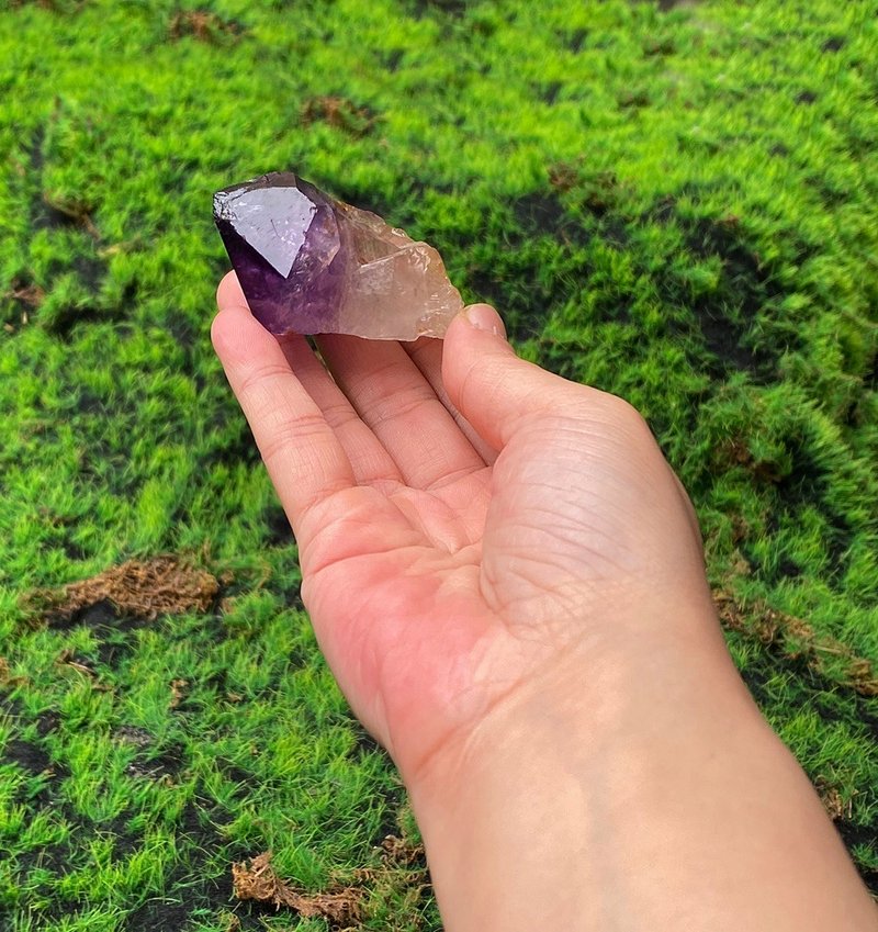 能量摆饰-天然紫晶骨干 紫水晶 招财 智慧 开运 快速出货 - 摆饰 - 水晶 多色