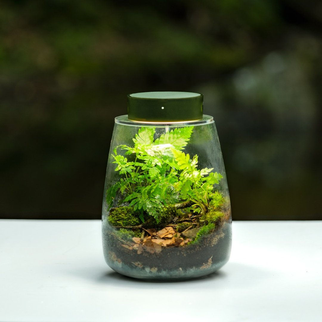 ONF MIST O 植雾光 - 随吸植物培育灯具 X 苔藓微景观懒人包 - 灯具/灯饰 - 其他材质 