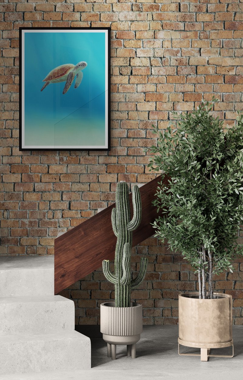 ToyJay王俊杰/海洋系列微喷海报/赤蠵龟(送4x6寸照片20张) - 海报/装饰画/版画 - 纸 蓝色