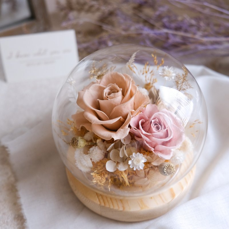 *拥爱*七夕情人节/干燥奶茶/玻璃钟罩(无灯)/告白/结婚周年纪念 - 植栽/盆栽 - 植物．花 卡其色