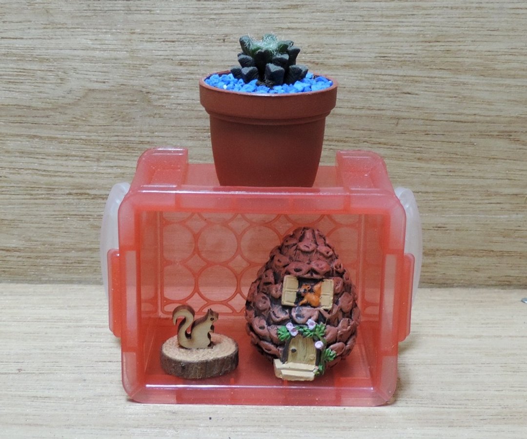 Find找盆栽 多肉植物【冬季限定】 - 植栽/盆栽 - 其他材质 