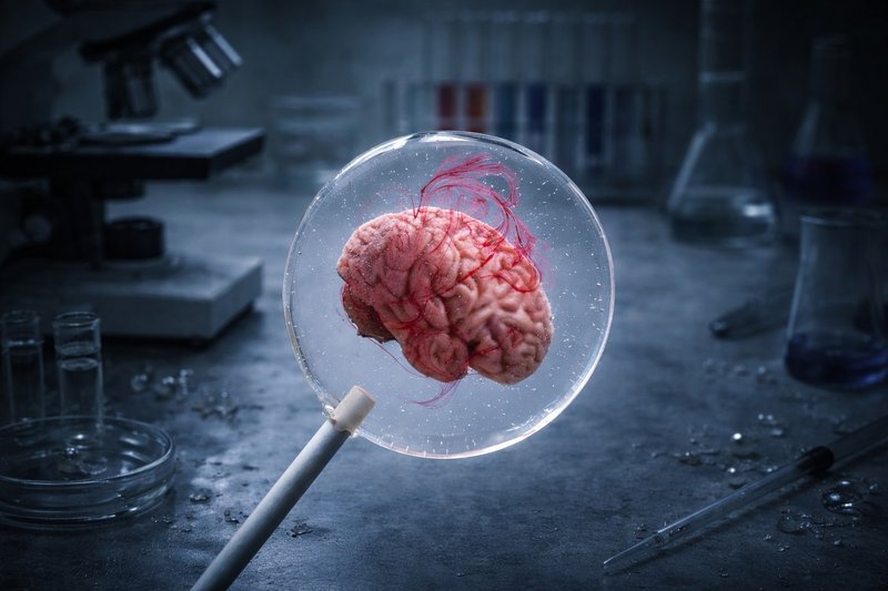 创意棒棒糖－意识标本 - 零食/点心 - 新鲜食材 红色