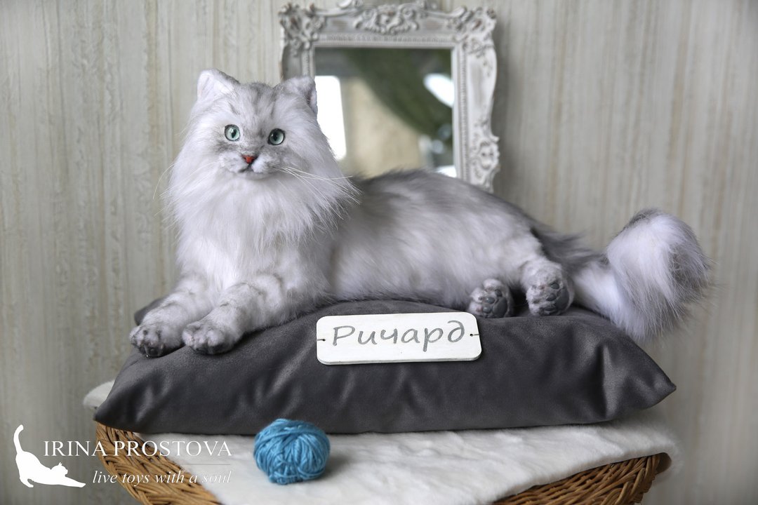 Cat realistic plush toy. Ooak doll. Art doll animalal - 玩偶/公仔 - 其他材质 灰色