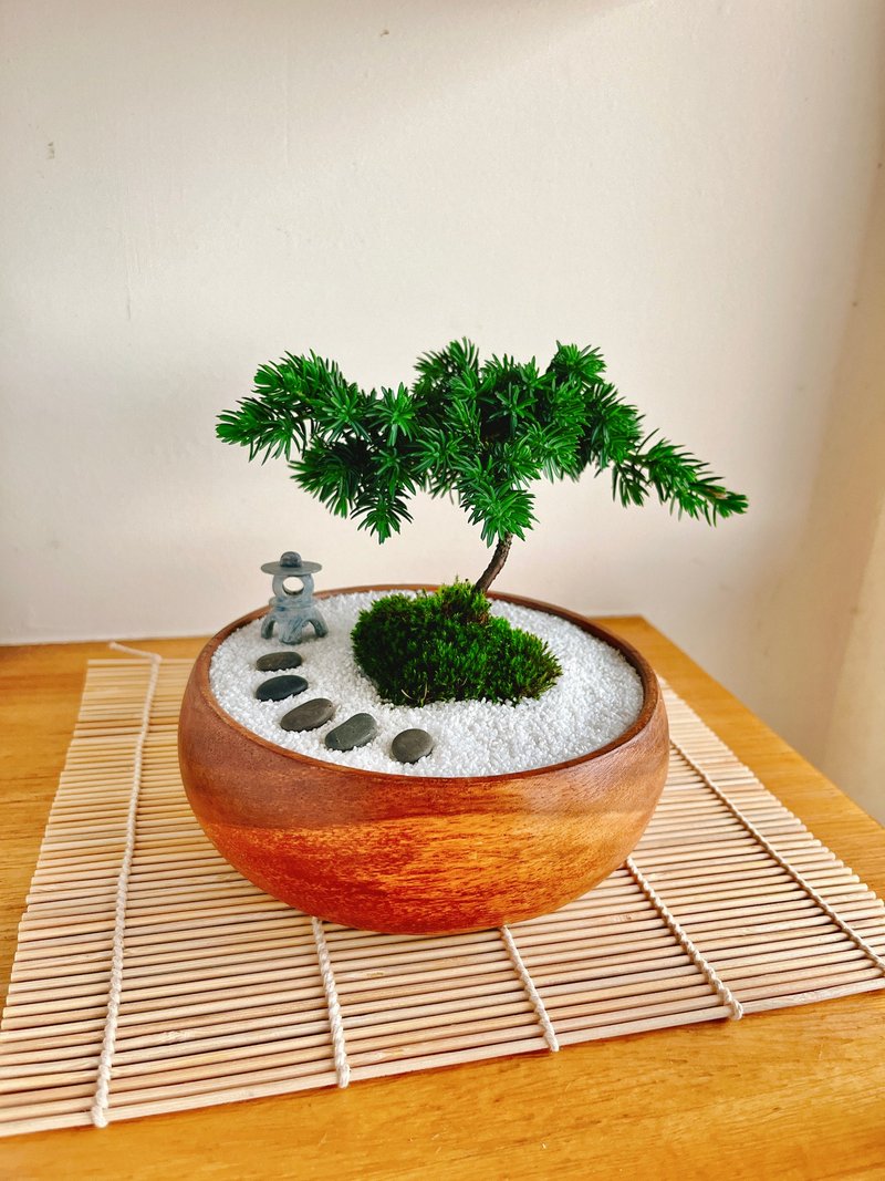 纯自然 日式禅庭盆栽 禅 枯山水 松树 盆栽 开幕 送礼 zen - 植栽/盆栽 - 植物．花 绿色