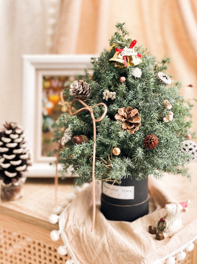 预购中 | 质感-永生圣诞树、交换礼物、DIY圣诞树材料包 - 植栽/盆栽 - 植物．花 绿色