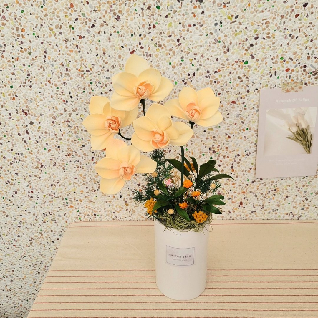 索拉兰花桌花。盆花。摆饰。附包装。开幕花礼。线下取货 - 干燥花/捧花 - 植物．花 