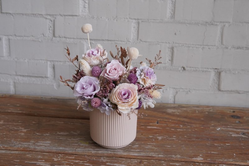 永生系列 紫白色系 永生花盆花 - 干燥花/捧花 - 植物．花 紫色