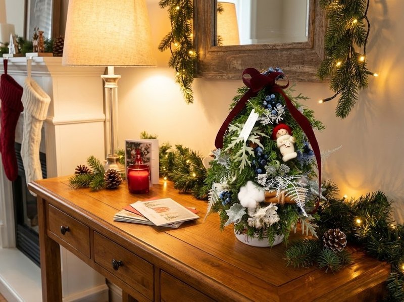 红帽小精灵冬日小圣诞树 包邮专人配送限双北市 其余地区需补运费 - 植栽/盆栽 - 其他材质 绿色