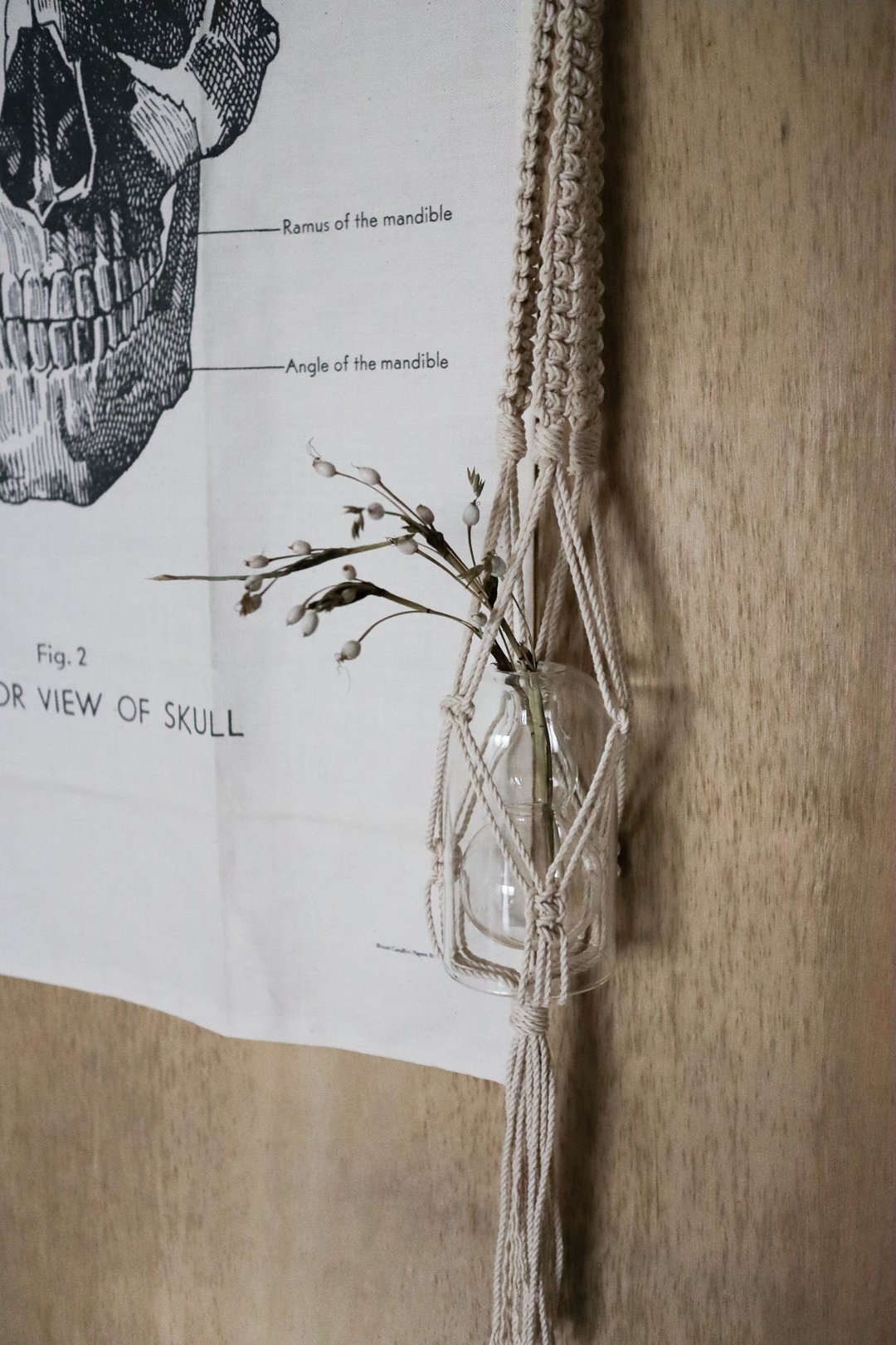 Macrame 手工编织吊绳65cm 03盆栽/香氛/花艺/园艺/波希米亚风 - 置物架/篮子 - 棉．麻 白色