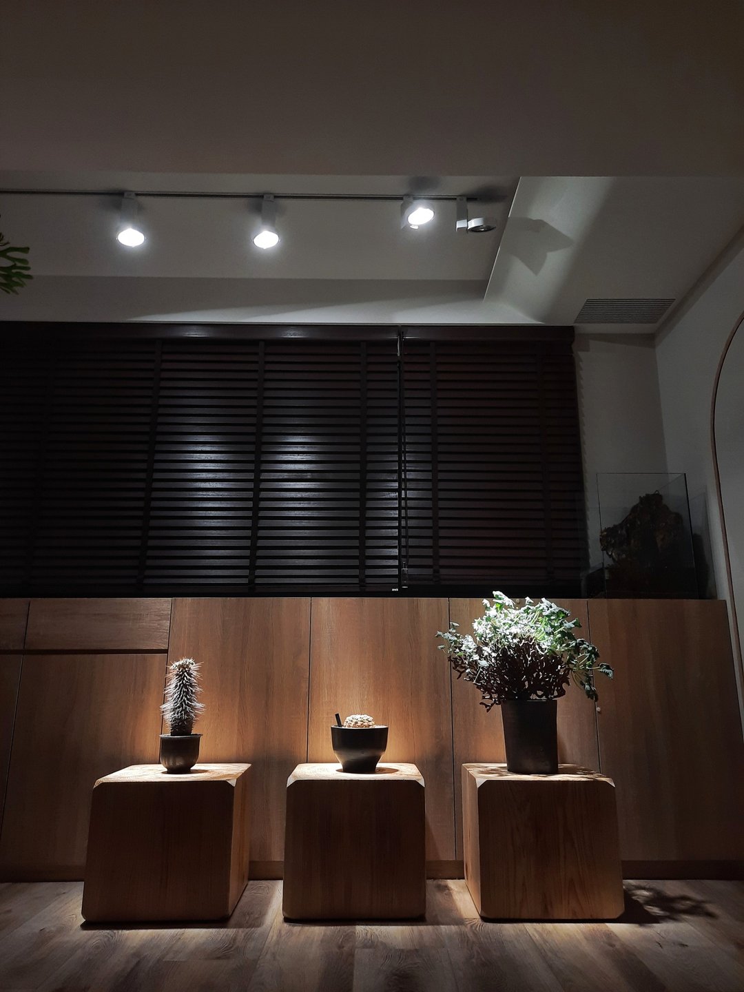 N10 Helios 全光谱植物灯 ( 20W ) - 9度光束角轨道灯-雾面黑 - 植栽/盆栽 - 其他金属 黑色
