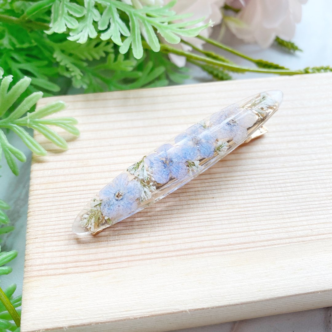 真花押花 勿忘我 白雪木 发夹 㰐圆形发饰 真花发饰 - 发饰 - 植物．花 蓝色