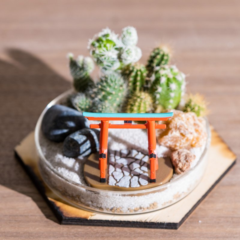 培养皿上的枯山水 - 多肉植物与仙人掌 礼物 - 植栽 - 植物．花 绿色