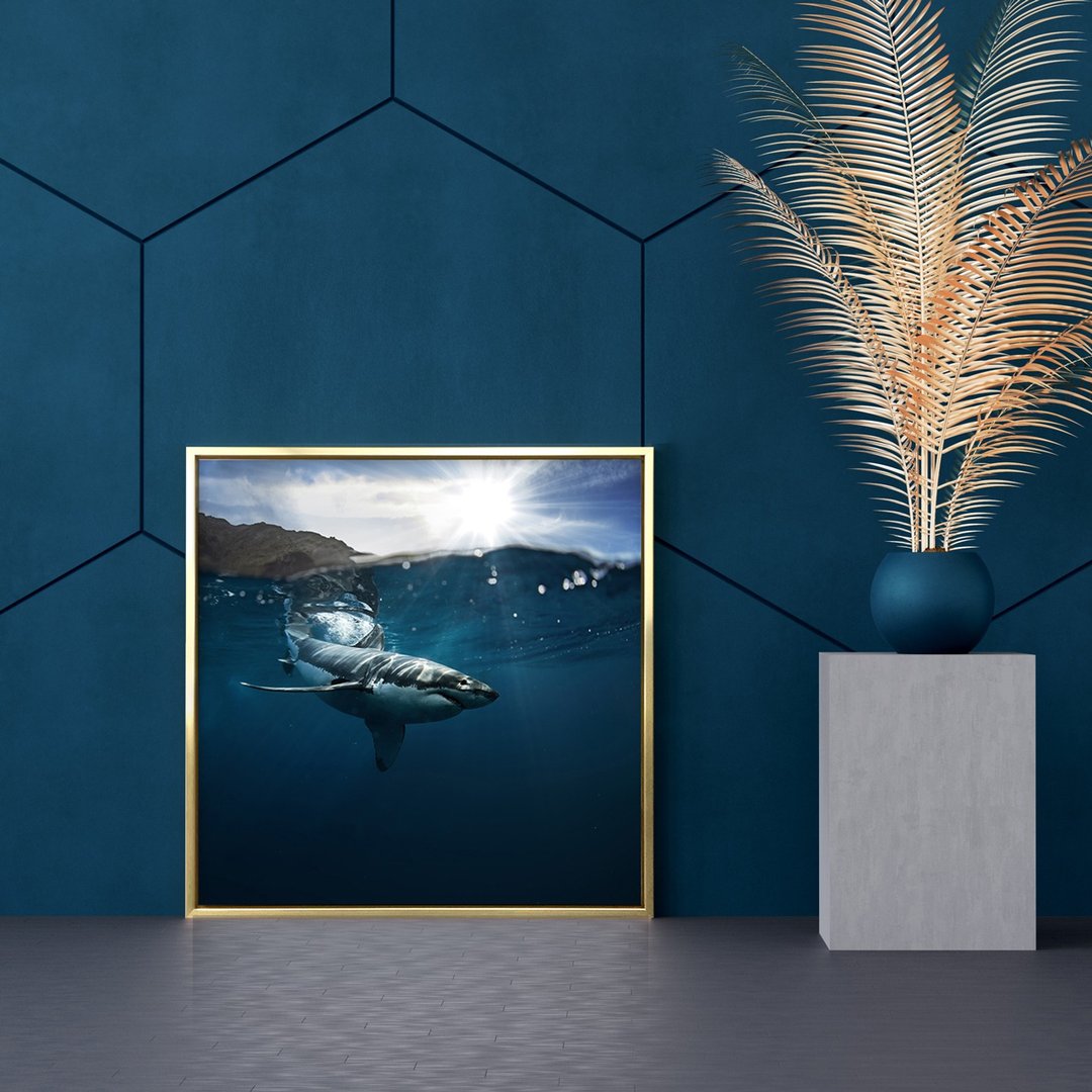 大白鲨 - 海洋/太平洋/自然/生态/民宿/咖啡厅/方形挂画/方型画作 - 海报/装饰画/版画 - 棉．麻 多色