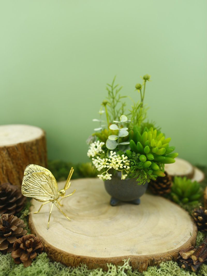 恒久祝福石莲多肉香氛盆栽/入厝礼/开幕/乔迁/送礼/植栽 - 植栽/盆栽 - 其他材质 绿色