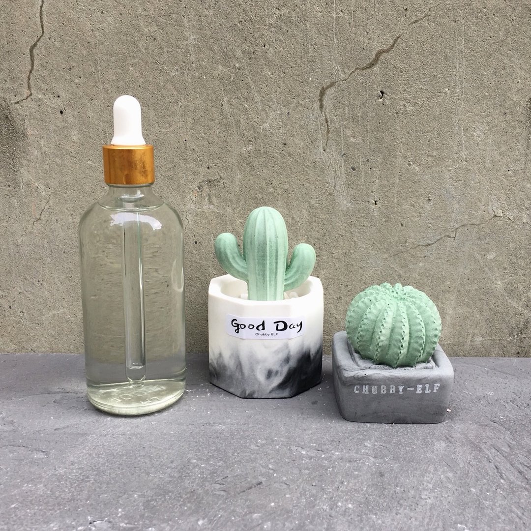 仙人掌组合+香精100ml - 香薰/精油/线香 - 其他材质 绿色