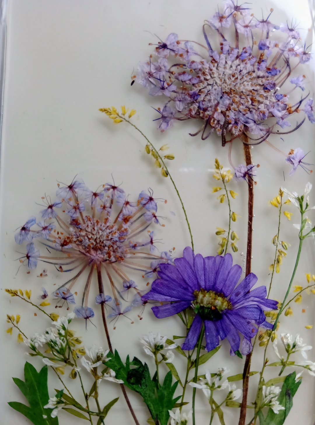 手作押花手机保护壳, 花开 - 手机壳/手机套 - 树脂 多色