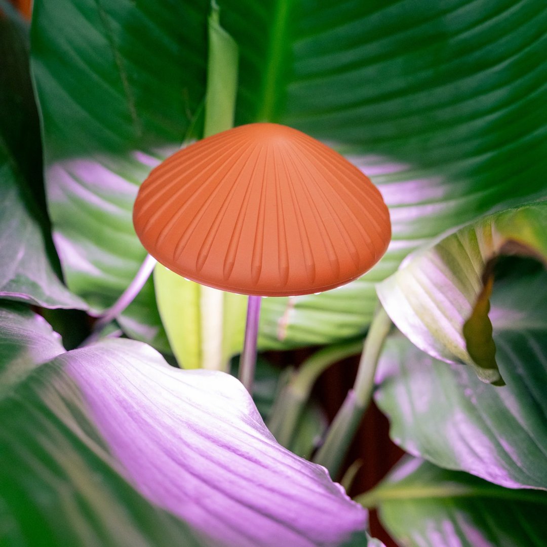 美国 MoMA 桌面装饰 LED 灯 小屋陶瓷装饰灯 圣诞节礼物灯饰摆件 - 灯具/灯饰 - 塑料 