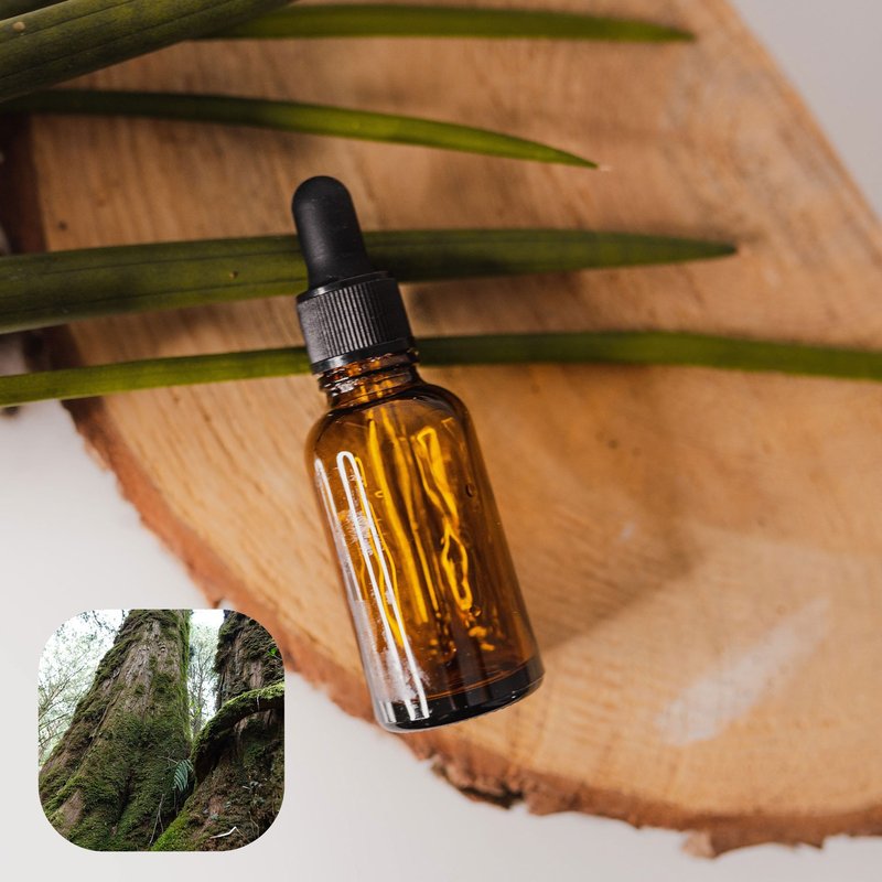 【香间小路】天然精油 红桧精油 Hinoki ( 贈送甜橙精油10ml ) - 香薰/精油/线香 - 玻璃 透明