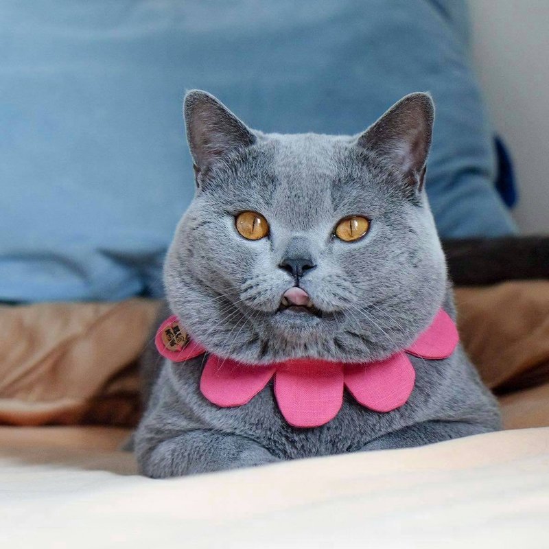 Ella Wang Design Flower petals collar 宠物 花瓣 颈圈 猫 狗 - 项圈/牵绳 - 棉．麻 红色