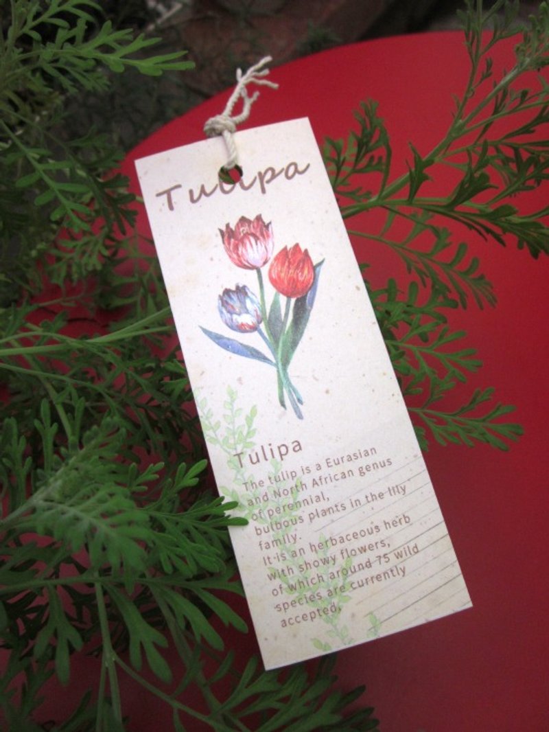 ☁书签-郁金香崇拜 - 卡片/明信片 - 纸 卡其色