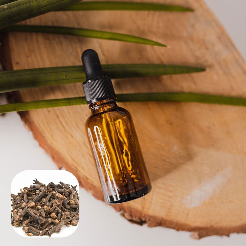 【香间小路】天然精油 丁香精油 Clove ( 赠送甜橙精油10ml ) - 香薰/精油/线香 - 玻璃 透明