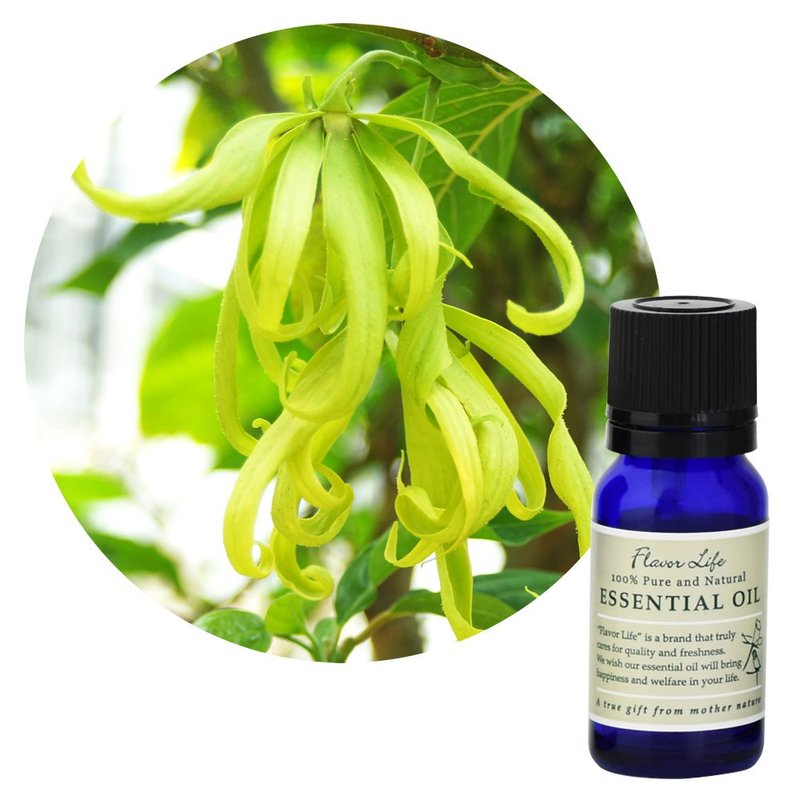 【伊兰伊兰精油】Cananga odorata (Ylang Ylang) - 香薰/精油/线香 - 精油 