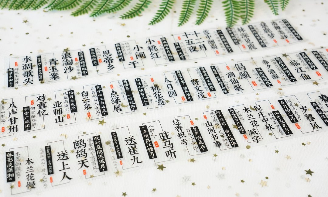佳句偶得 PET 纸胶带 白墨 10米卷 - 纸胶带 - 塑料 黑色
