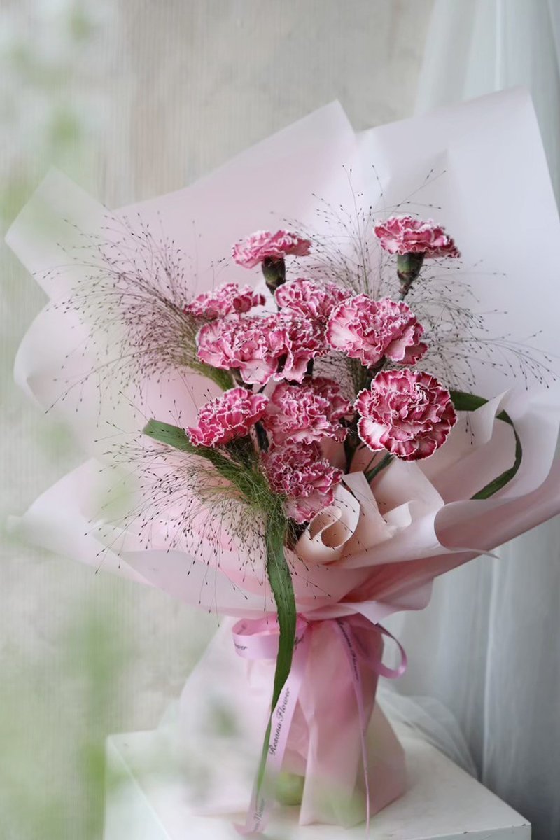 艺术染康乃馨 奶霜白边粉 鲜花束 2025母亲节 - 摆饰 - 植物．花 粉红色