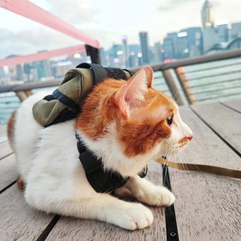 Onetigris 尤里卡猫背包 - 衣/帽 - 尼龙 多色