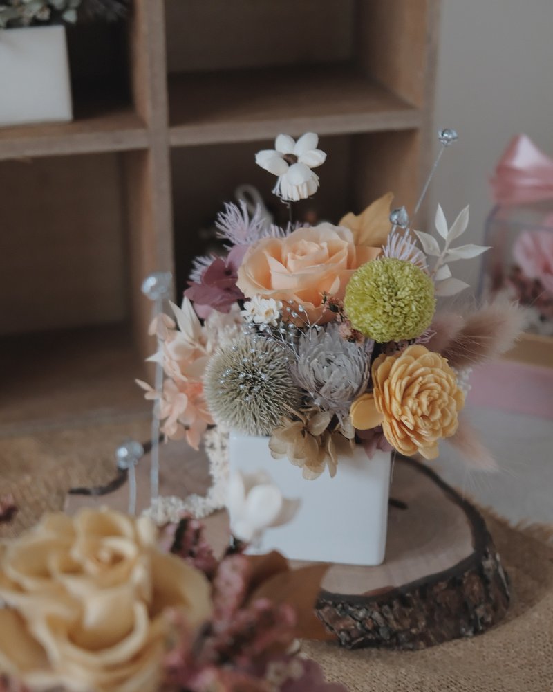 xuli.96 朝气橘 / 典雅粉 桌花、生日礼物、开幕桌花 - 干燥花/捧花 - 植物．花 