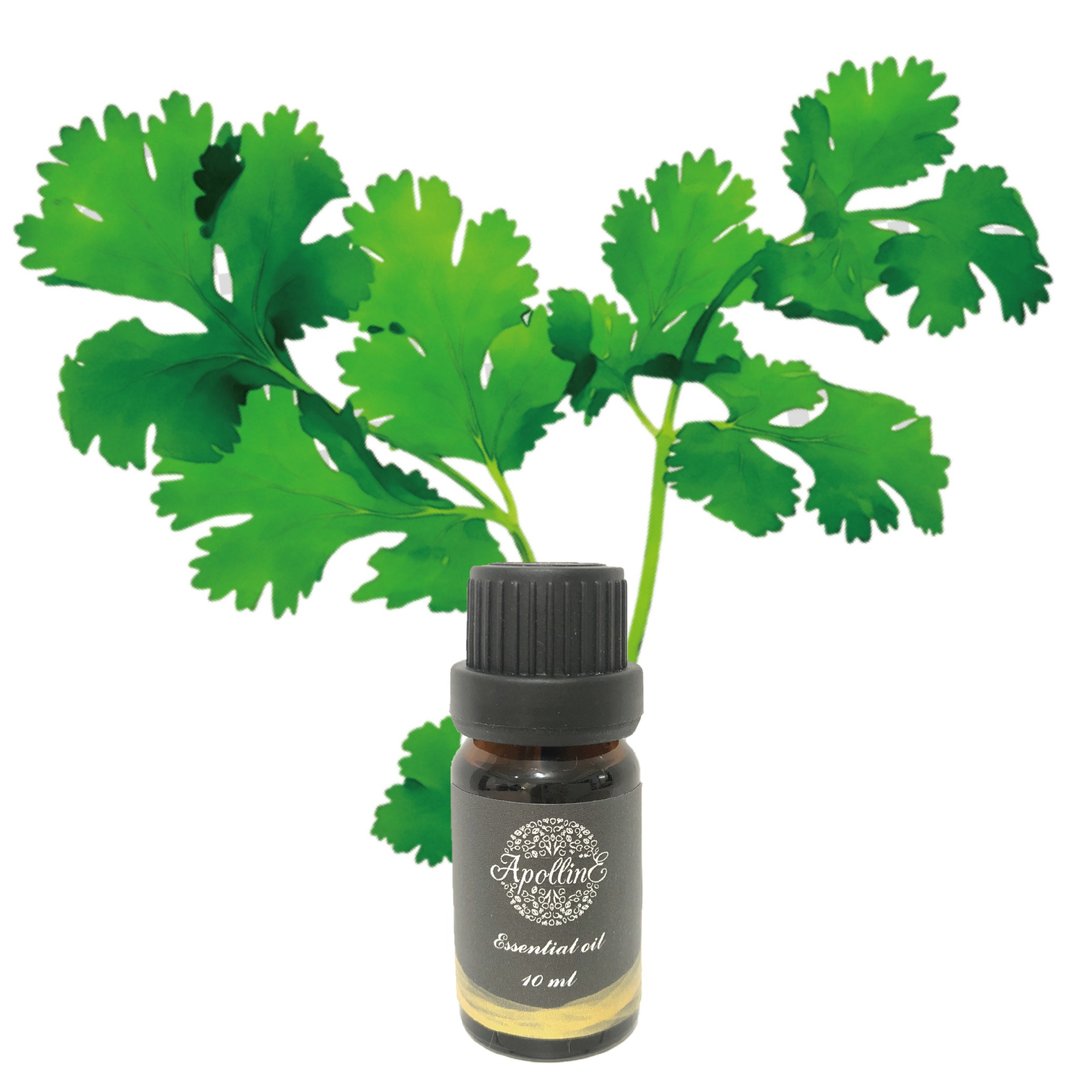 胡荽籽精油 CORIANDER SEED - 香薰/精油/线香 - 精油 