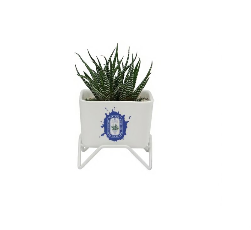 Detail Plant Pot w/stand多肉植物盆(水/大尺寸) - 植栽/盆栽 - 其他材质 多色
