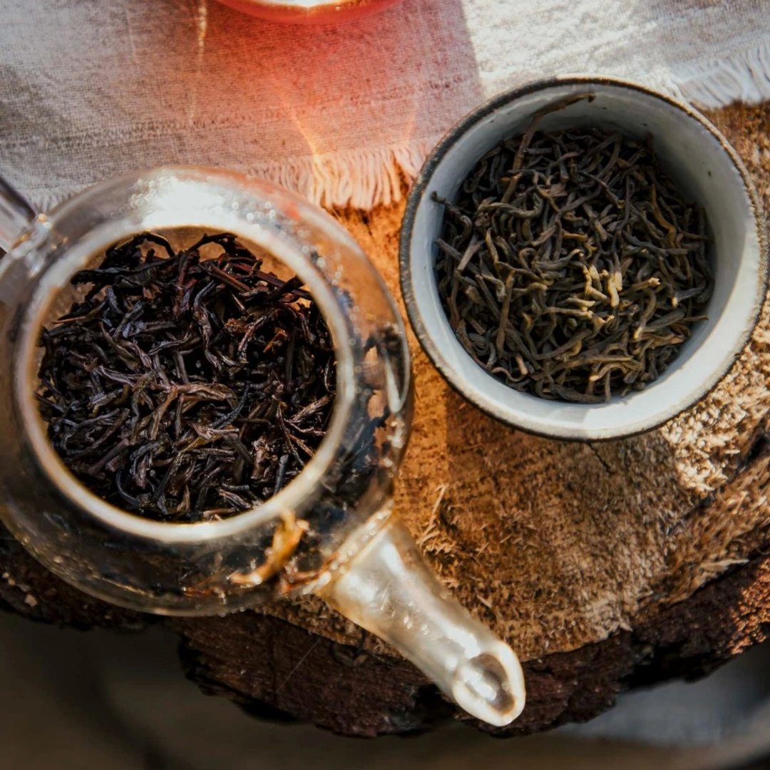 N601 发酵普洱茶 - 茶 - 其他材质 咖啡色