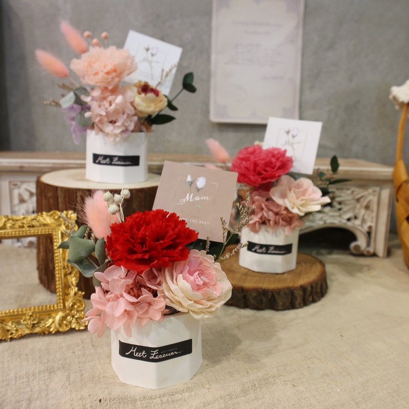 【遇见恒久】5/9后才会出货 DIY材料包永生康乃馨扩香盆 含影片 - 植栽 - 植物．花 