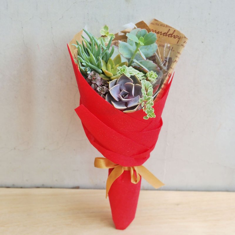 豆豆多肉植物与小杂货_创意植栽系列-多肉花束(小) - 植栽/盆栽 - 纸 多色