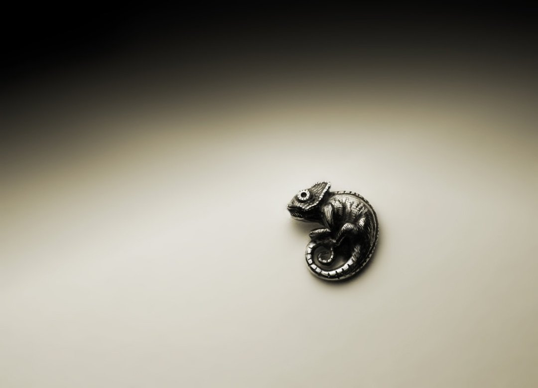 变色龙耳环 - 耳环/耳夹 - 其他金属 银色