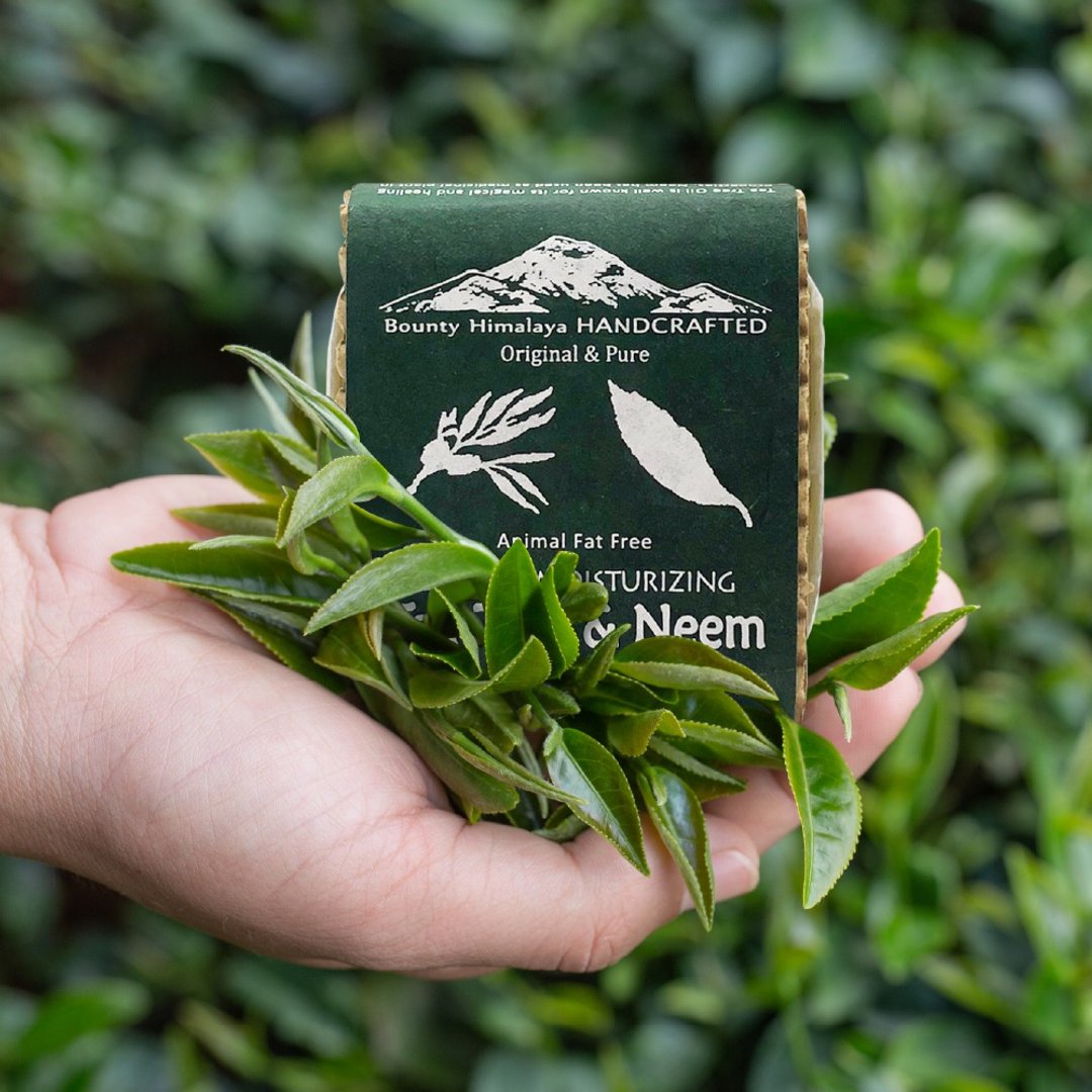 尼泊尔喜马拉雅之宝茶树+苦楝清肌爽肤养发皂100g(全力呵护肌肤) - 肥皂/手工皂 - 其他材质 绿色