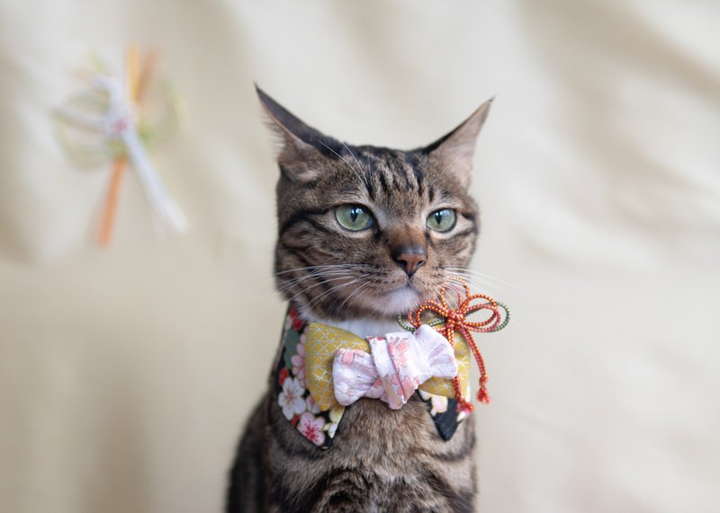 【振袖・きもの系列】新年 宠物领巾 猫咪/狗狗 和风 女生款 - 鹤 - 项圈/牵绳 - 棉 黑色