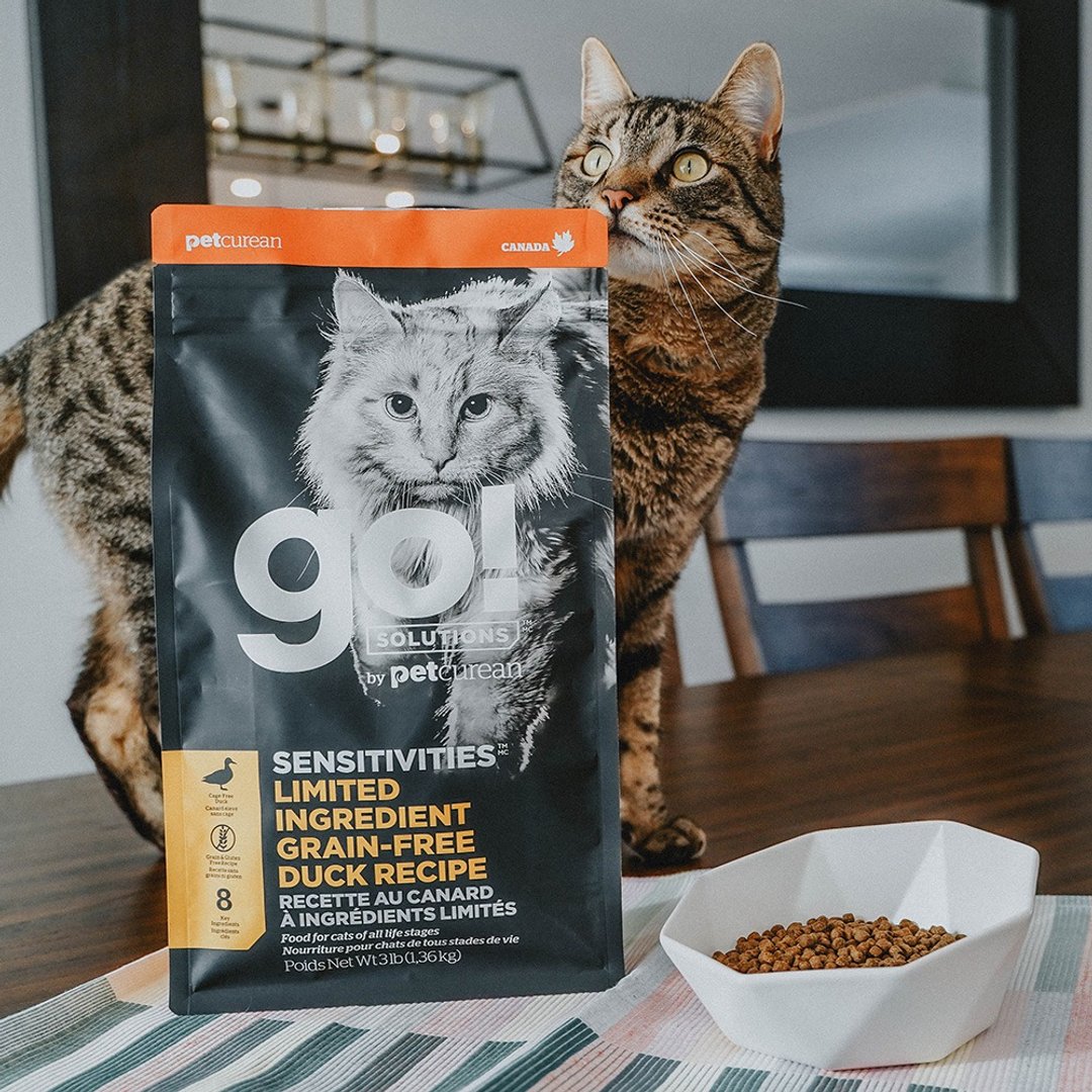 【猫主食】go! 鸭肉全猫 低致敏系列 无谷 猫饲料 单一肉类 - 猫罐头/鲜食 - 新鲜食材 