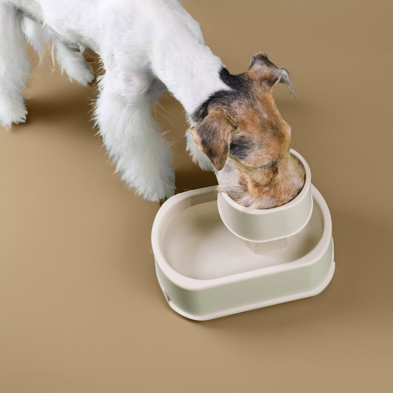 宠物防蚁碗，食品级 100%，水碗和食物碗二合一，奶棕色。 - 碗/碗架 - 塑料 咖啡色