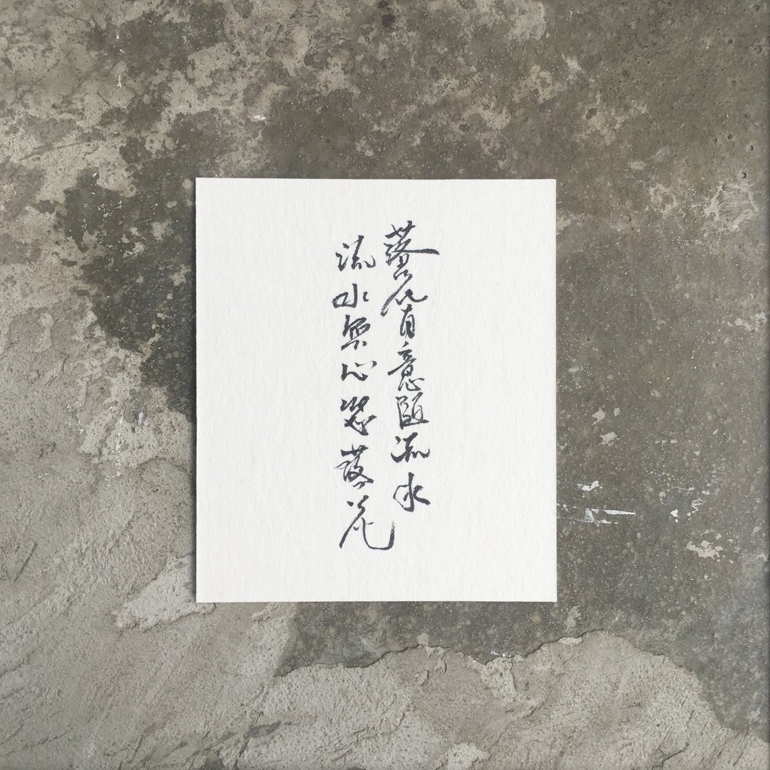 落花有意随流水 流水无心恋落花 / 手 写 明 信 片 - 卡片/明信片 - 纸 白色